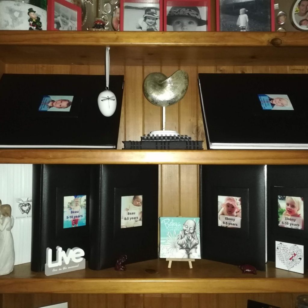 scrapbooks displayed in bookcase