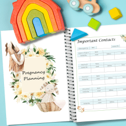 Pregnancy Journal Mockup